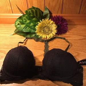 B INTIMATES Black & Olive Lace Padded Bra